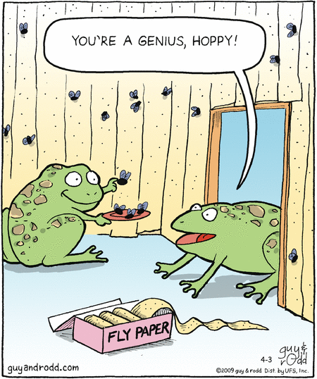 brevity